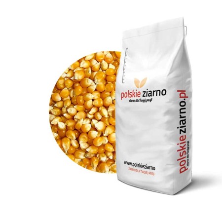 kukurydza-popcorn-produkt.jpg