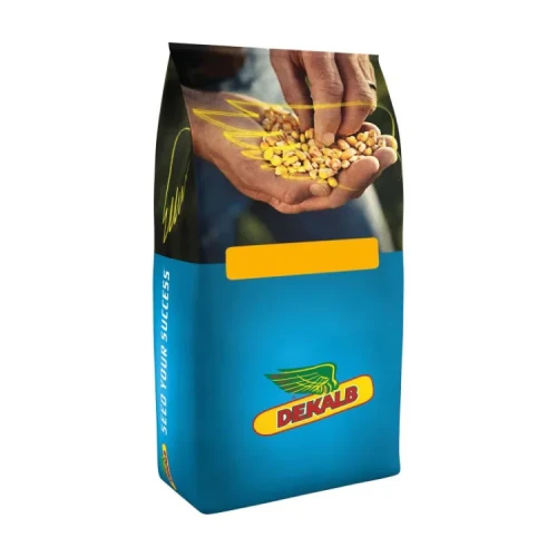 Przejdź do produktu Kukurydza DKC 3609 C1- BAYER na ziarno