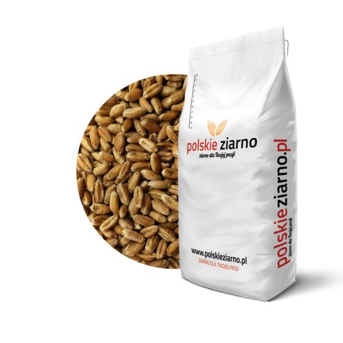 Przejdź do produktu Pszenica ziarno