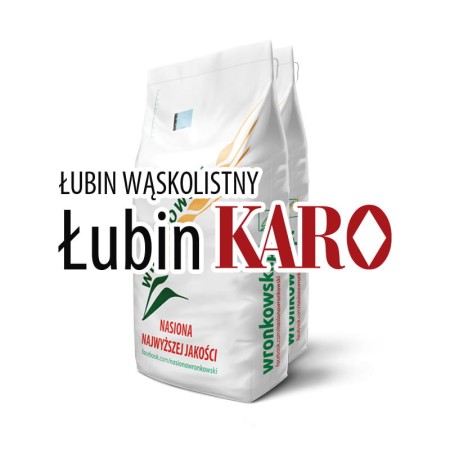 lubin-karo-worek.jpg