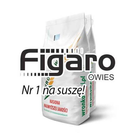 figaro-worek-1.jpg