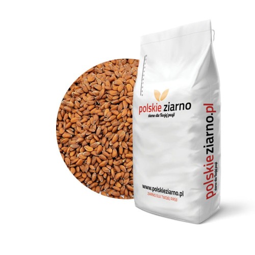 Przejdź do produktu Rzeżucha ogrodowa