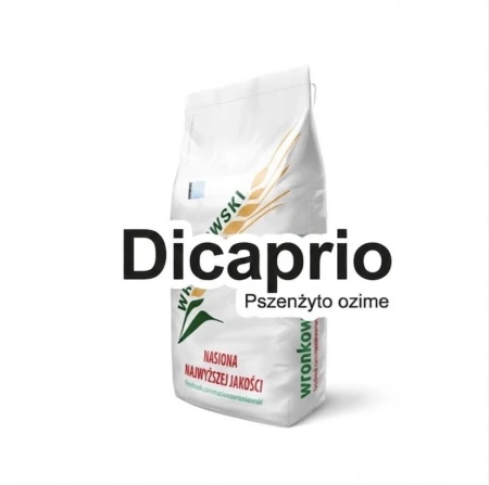 dicaprio.jpeg