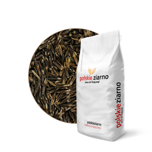 Przejdź do produktu Owies gniady czarny - zestaw 3 x 5 kg
